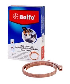Levně Bolfo 38 obojek pro kočky a malé psy 1 ks