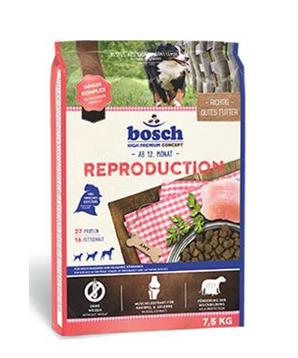Bosch Dog Reproduction