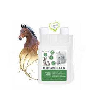 Levně Dromy BOSWELLIA liq. 1000 ml