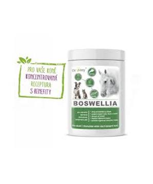 Levně Dromy BOSWELLIA Forte 750 g