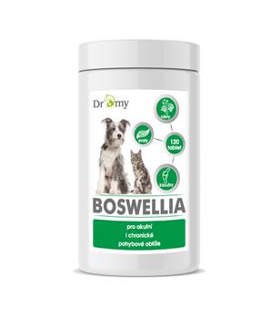 Levně Dromy Boswellia 120 tbl.