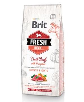 Levně Brit Fresh Beef with Pumpkin Puppy Large Bones & Joints 12 kg