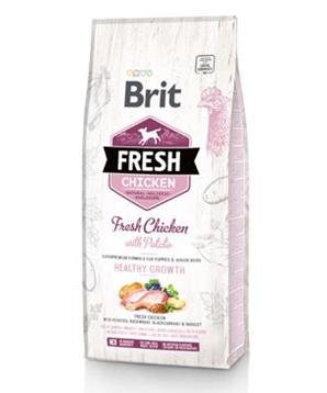 Levně Brit Fresh Chicken with Potato Puppy Healthy Growth 2x 12kg