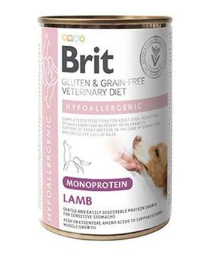 Levně Brit VD Dog GF konz Mono Protein Hypoall. Lamb 400g
