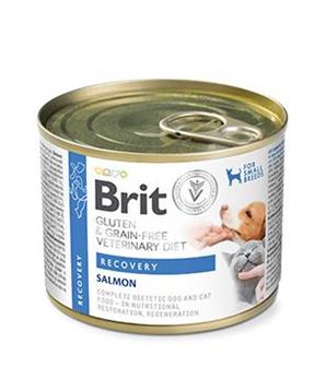 Levně Brit VD Dog+Cat GF konz Recovery 200g