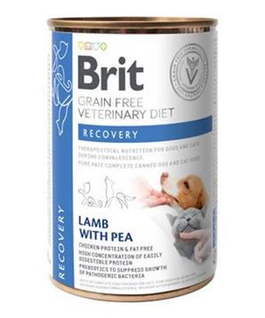 Levně Brit VD Dog+Cat GF konz. Recovery 400 g