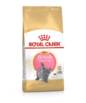Levně ROYAL CANIN British Shorthair Kitten 10 kg
