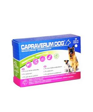 Levně CAPRAVERUM DOG probioticum-prebioticum 30tbl