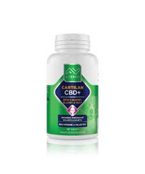 Levně Cartilan CBD+ Altervet 2x40tbl