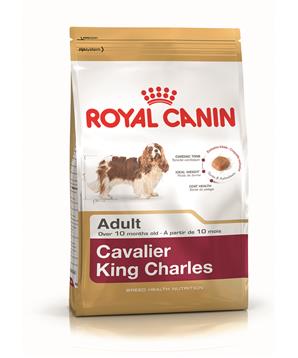 ROYAL CANIN Cavalier King Charles Adult