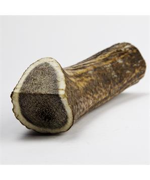 Levně Jelení paroh pro psy GIGANT 180-240 g