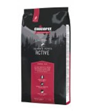 CHICOPEE HOLISTIC ACTIVE SALMON-POTATO