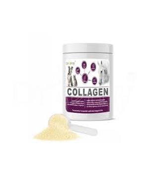 Levně Dromy Collagen 2500g: 90 dávek