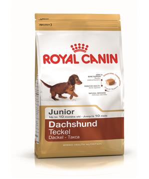 ROYAL CANIN Dachshund Junior