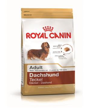 ROYAL CANIN Dachshund Adult
