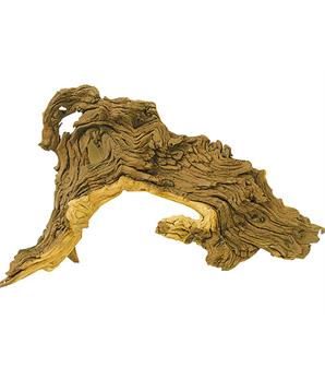 Levně Dekorace HOBBY DOHSE Tropical wood L, 33 cm