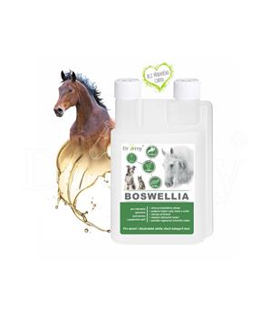 Dromy Boswellia liquid