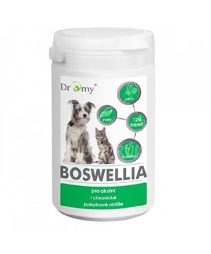 Dromy Boswellia