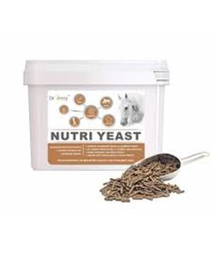 Levně Dromy Nutri Yeast 6kg