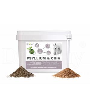 Levně Dromy Psyllium + Chia 3 kg