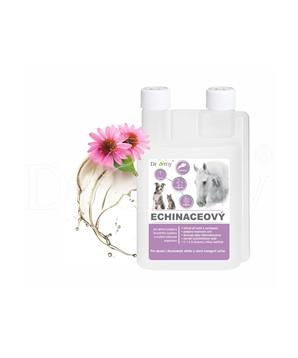 Levně Dromy Echinaceový sirup 1000 ml