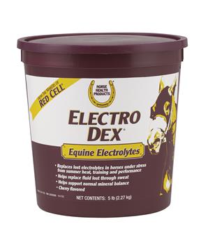 Electro Dex