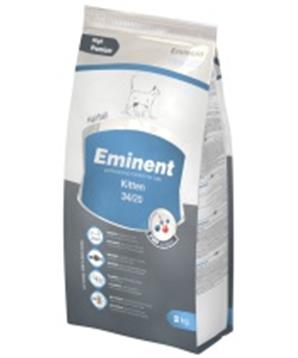 Eminent Kitten