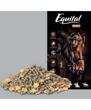 Equital Sport pro koně