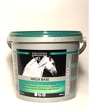 Levně Equistro Mega Base 10000 g