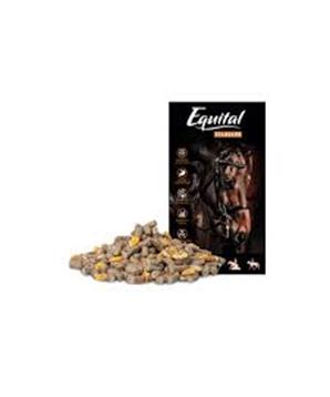 Levně Equital Standard 25kg
