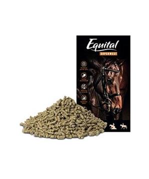 Levně Equital Superwest pro koně 25kg