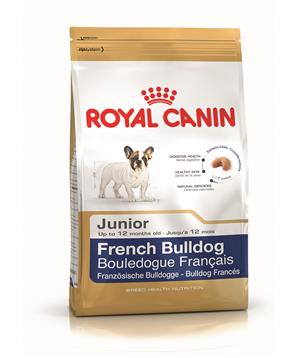 ROYAL CANIN French Bulldog puppy