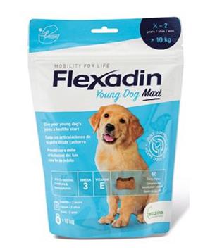 Levně Flexadin Young Dog Maxi žvýkací 60tbl