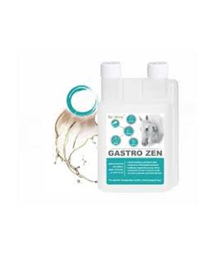 Dromy Gastro Zen
