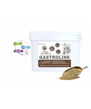 Levně Dromy Gastroline 3000 g