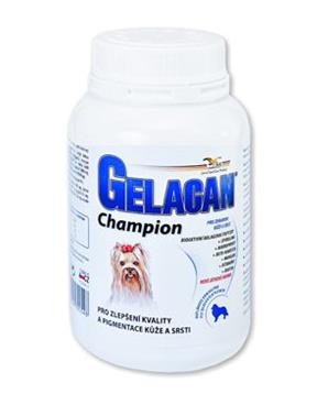 Gelacan Champion psi barevná plemena