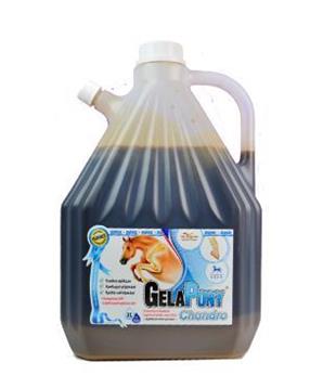 Levně Gelapony Chondro Biosol 3000 ml
