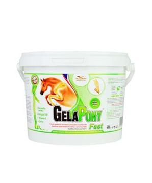 Gelapony Fast