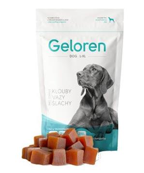 Geloren Dog