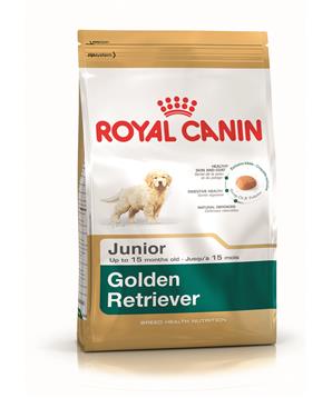 ROYAL CANIN Golden Retriver puppy