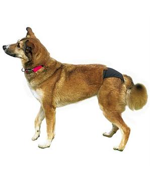 Levně Hárací kalhotky de Luxe Trixie L (50-59 cm)