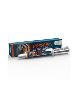 Levně Horse Active Boost perorální pasta 1x20g