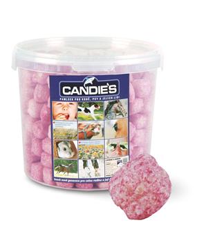 Candies pamlsek pro koně, psy a jejich lidi