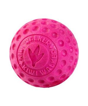Levně Hračka pes BALL MAXI plov. z TPR pěny KW modrá