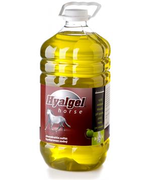 Levně Hyalgel Horse jablko 5 l