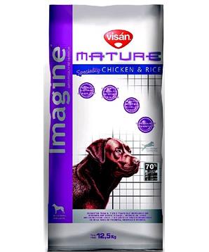 IMAGINE Mature Senior