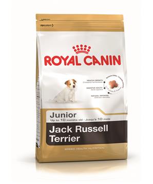 ROYAL CANIN Jack Russell Junior 