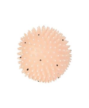 Levně Ježek míč fosforeskující, se zvukem TRIXIE 10cm