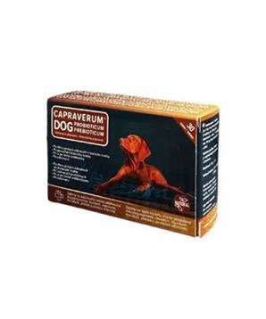CAPRAVERUM DOG probioticum-prebioticum 