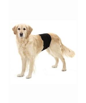 Kalhoty pro psy proti značkování